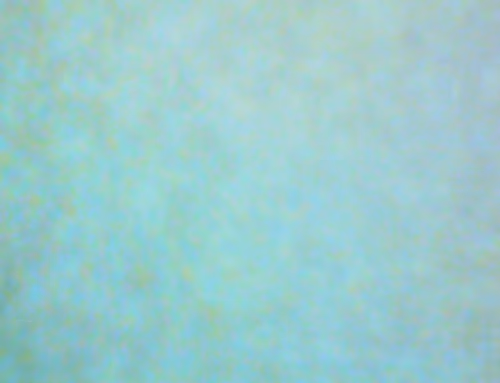 Item #71646257518770613568983710813551014237803002136866425209291833631569401085953 Media