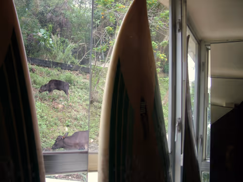 Item #53293308890184797563245186567038910587897763149201304652829954793432091197441 Media