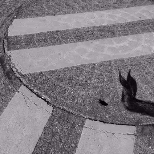 Item #56431751608181922231259635946092067407977788553703326303680802279964408807425 Media