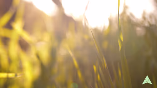 Item #70655409647296023505339344133926088984781406258874857677002406238907963277313 Media