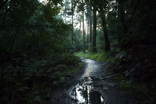 Item #31788909356613404137048829070137069187400346678612286943977180910349497401345 Media