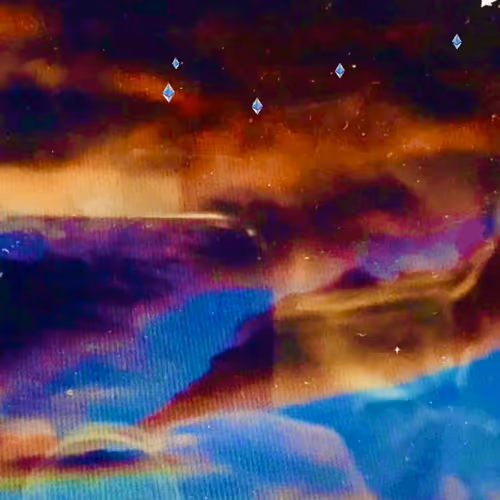 Shrimpaste529 Collection