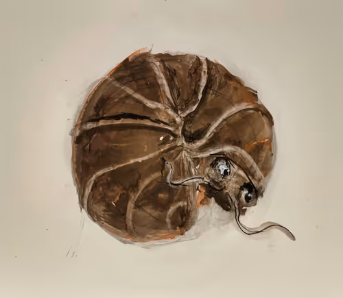 Item #29187640273774409510104959290972442235163739485719208093169108726345325608961 Media