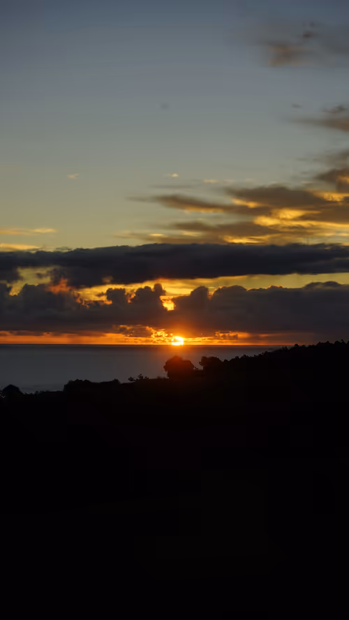 Item #111384347419130010131898734196272882001680551158239169533315207244898621194241 Media