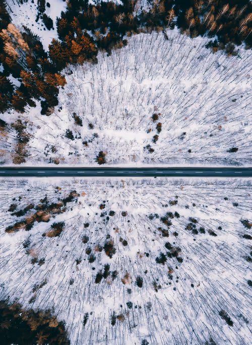 Item #56582553885224441089926055814048090400852822169914013821602265927262387830785 Media