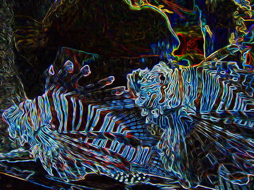 Item #55547730388559652529875889041498599617715774868663419579040992624868220469249 Media