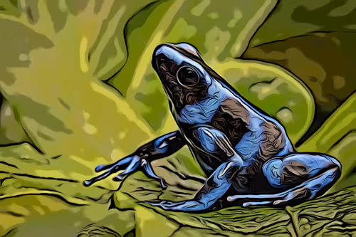 Item #29264666619168010317647881047170433350762654908464135976635272408694307946497 Media