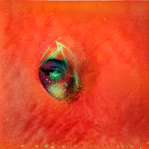 Item #84457744602723809043049191225279009657327463478214710277063869771215592751105 Media