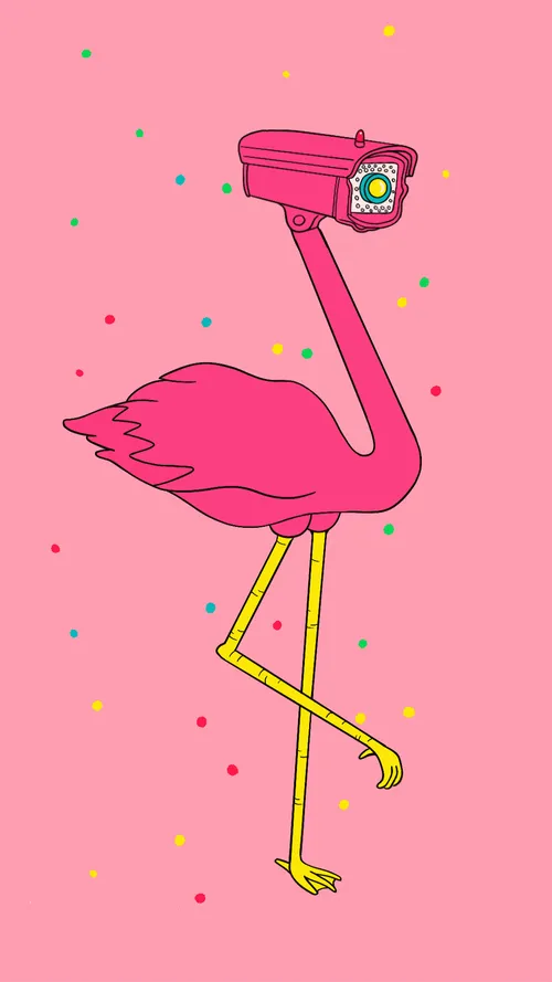 Item #26289447615113725466169311709562309290301843874907743794103388712606724259900 Media