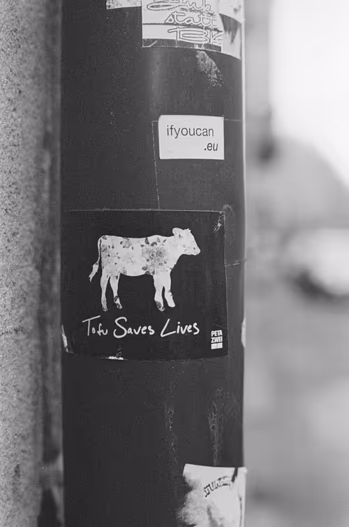 Item #19047465306348406328052946929912195757784047878238389409385033424319186731009 Media