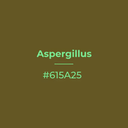 Aspergillus #615a25