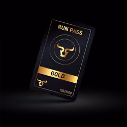 RUN PASS #2