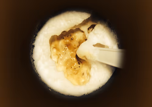 Item #32950900541074688019941179761660279688848553733738145877252429132564933902346 Media