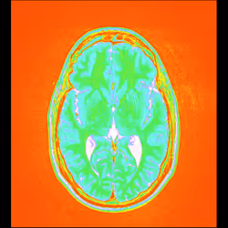 64162533542198579898252916190583583845604629893829087458582976530843808301057