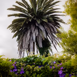 An Oasis