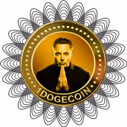 1ElonDOGE#7