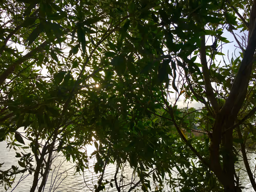 Item #68930698527264809190468656590261820993623292496804910864436067685423088926721 Media