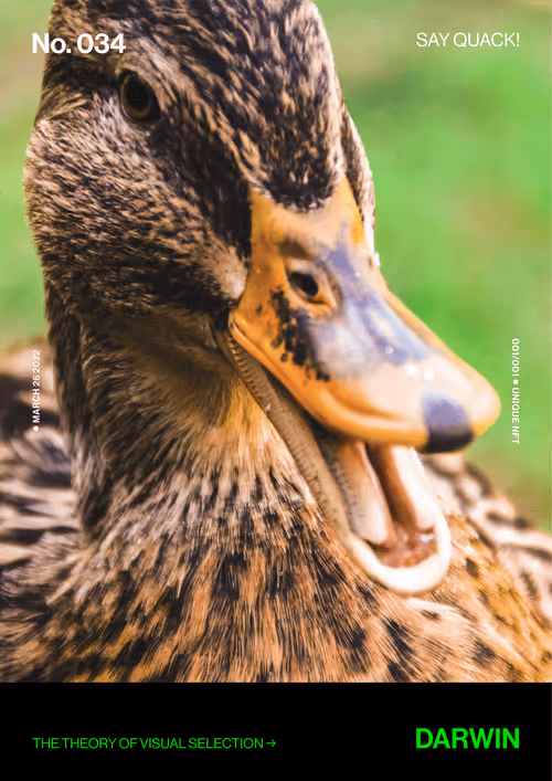 Item #5978613787773959064064561136939516829698711004901919756353002629998521090049 Media