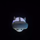 54942694778668758584557798279030613991970221782457272860066044156869060067329
