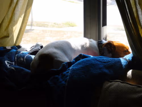 Item #5985210497355107417265215381210579199842884272282595265964883353935842115585 Media