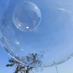 泡泡世界bubble word