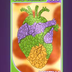 90475678972029395359707263313456981686565599755556252855853744686880069255169