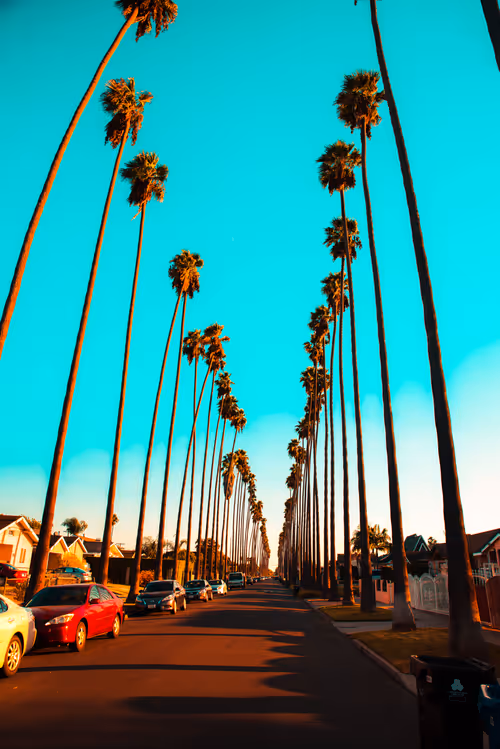 Item #91501497008151221125596935841676000512183505427004855270702190498288360226817 Media