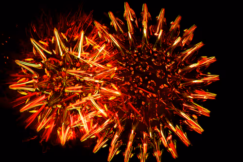 Item #36961558667508468901754344417864317572364831153456800218286957984143705636865 Media