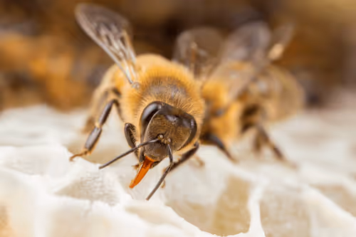 Item #11893448461842202167923125391346137616384292588036434545660885374827354914826 Media