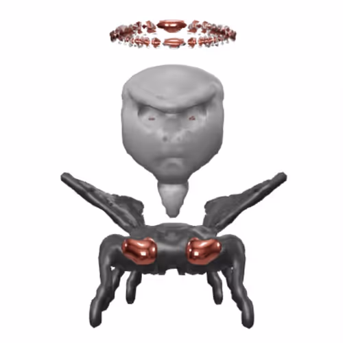 Item #91424983971566300773513476046080503882242609555647300750695752086193747001345 Media