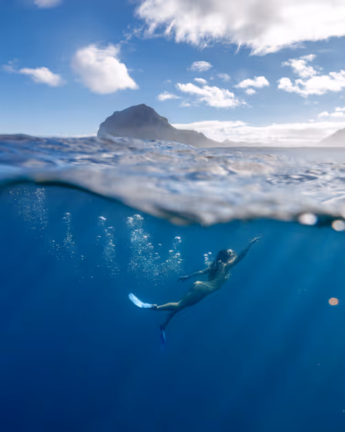 Item #64892573542216553225063327700336004171019867697641980949815581362410934501377 Media