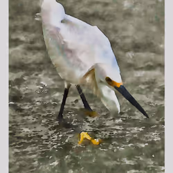 55704534837685659622621715309832868758345944585427688586690141426758971293697