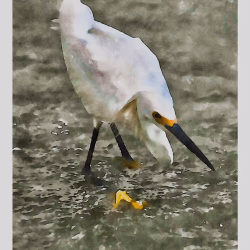 55704534837685659622621715309832868758345944585427688586690141426758971293697