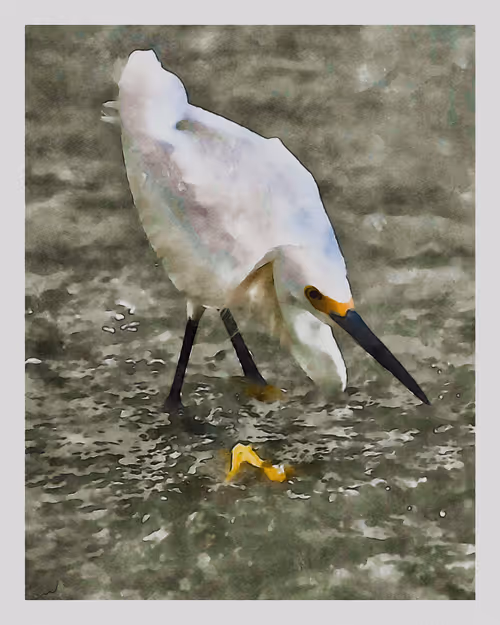 Item #55704534837685659622621715309832868758345944585427688586690141426758971293697 Media