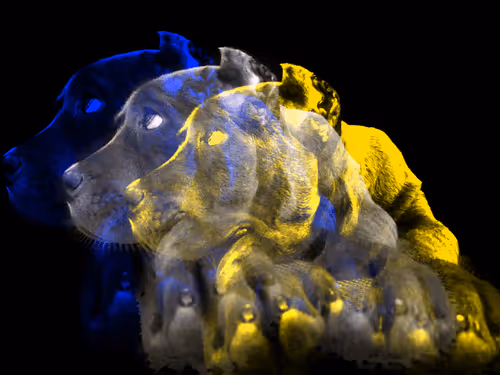 Tony2Trigger Collection - old