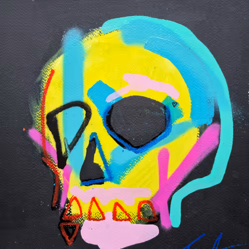 Memento Mori 100 Skulls By Tim Fowler