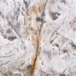 89716942802498903345130334803239853703441552995015827228005889649990891995137