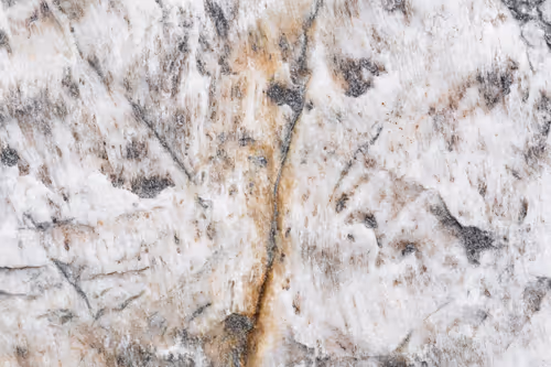 Item #89716942802498903345130334803239853703441552995015827228005889649990891995137 Media