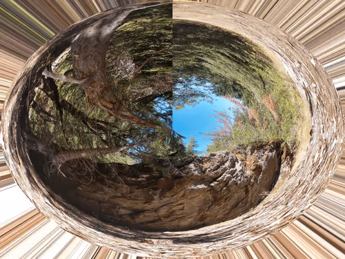 norcalred Collection