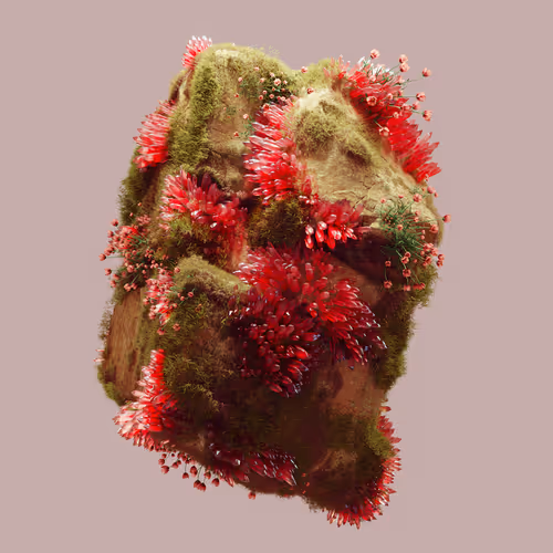 Item #29025029791859050124720480462956340608557292548544538512690378003916697632769 Media