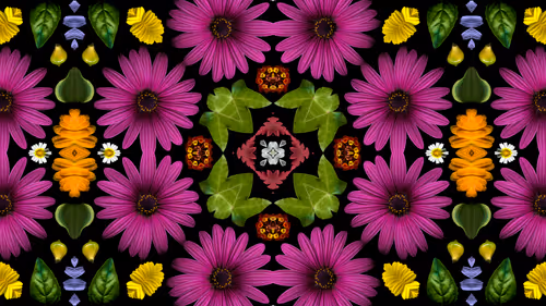 Item #114567358423953626281537788403819853891642458412316118477611090109711322710017 Media