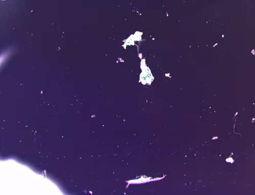 Item #71646257518770613568983710813551014237803002136866425209291833845974168502273 Media