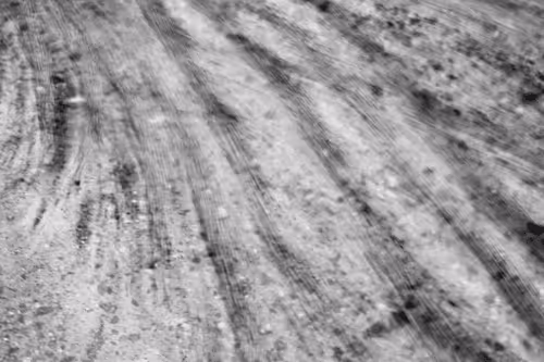 Item #20191380315558166241020242438657395646005713475192427787960701961382871957509 Media