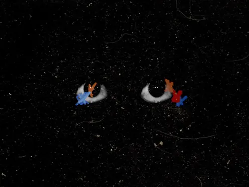 Item #54688137389352509344092767467911615879738143210533731435142059744608278020097 Media