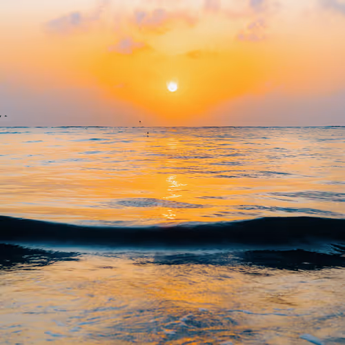 Tales From The Ocean