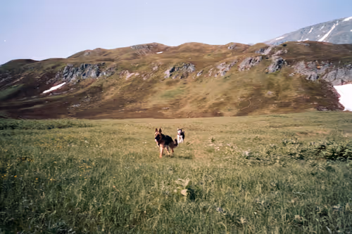 Item #86204936525623062478772312076709802278598486618652010465124009064716935626753 Media