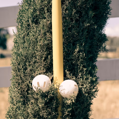 Untitled Collection #77586549 - old