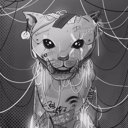 Meoow Collection 1