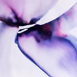 ColourTrip04
