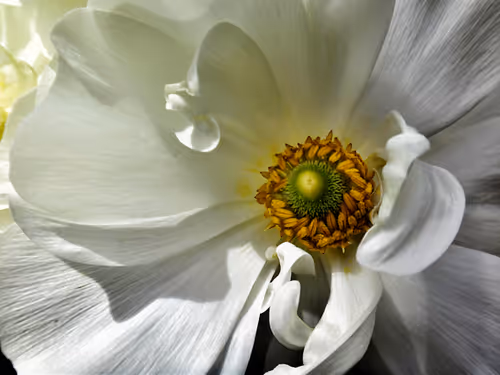 Item #57454491023137916107007493201948815472587961712729591816545853675188818804737 Media